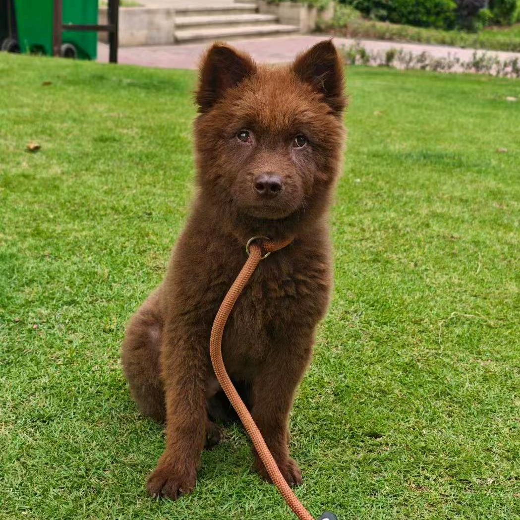 小熊🐻(●'◡'●)