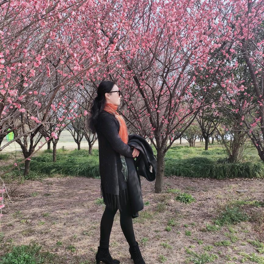 春晓