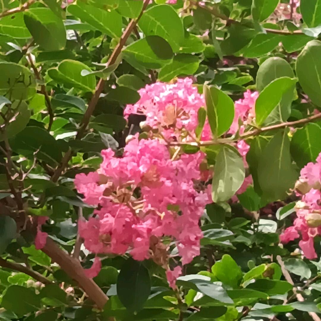 熣灿年华