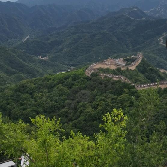 农村丶彡哥🇨🇳