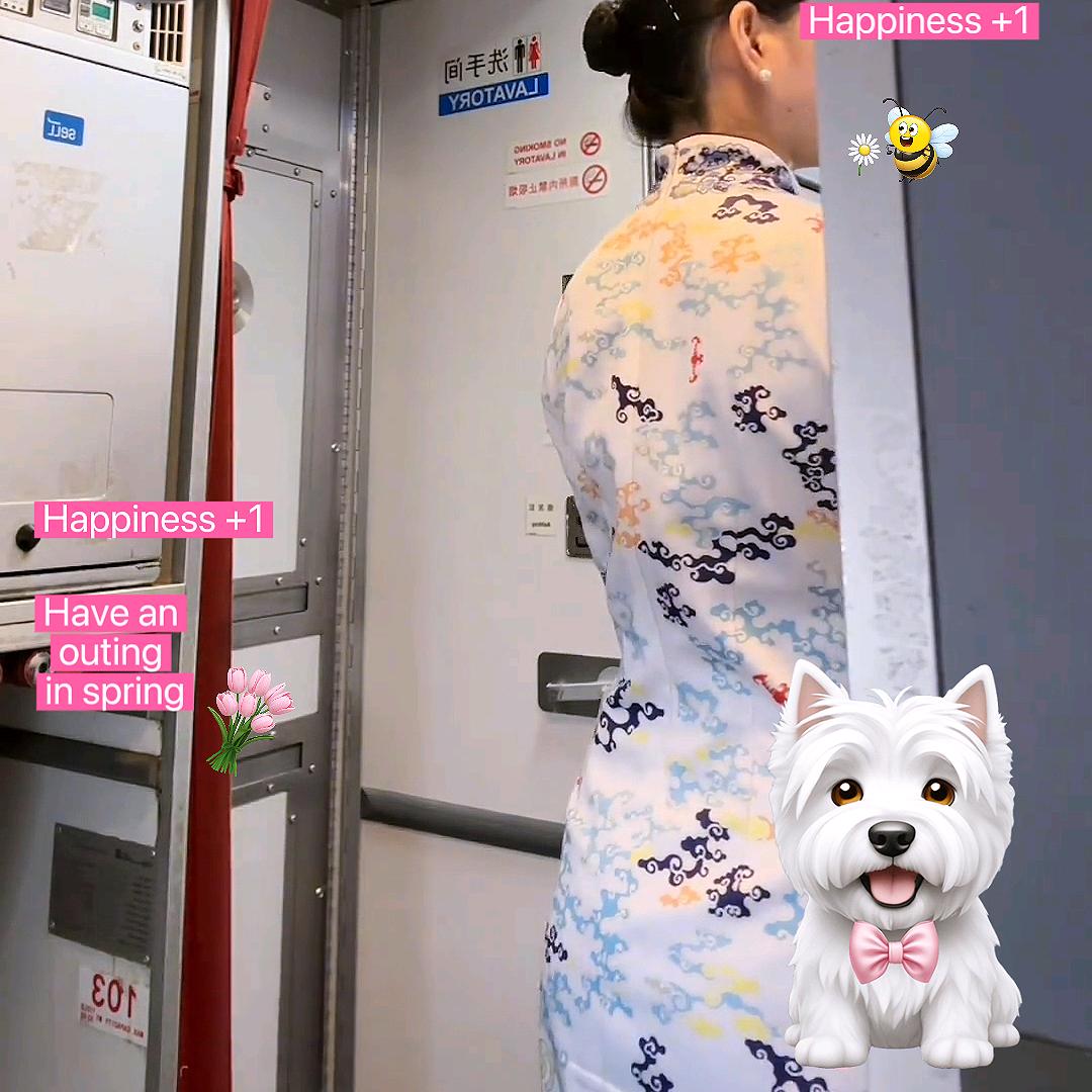 芝芝～