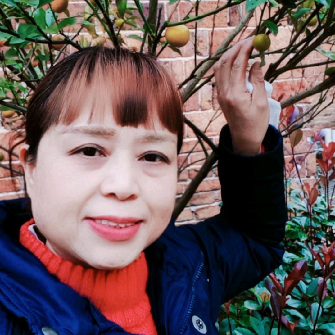 懒大姐短视频