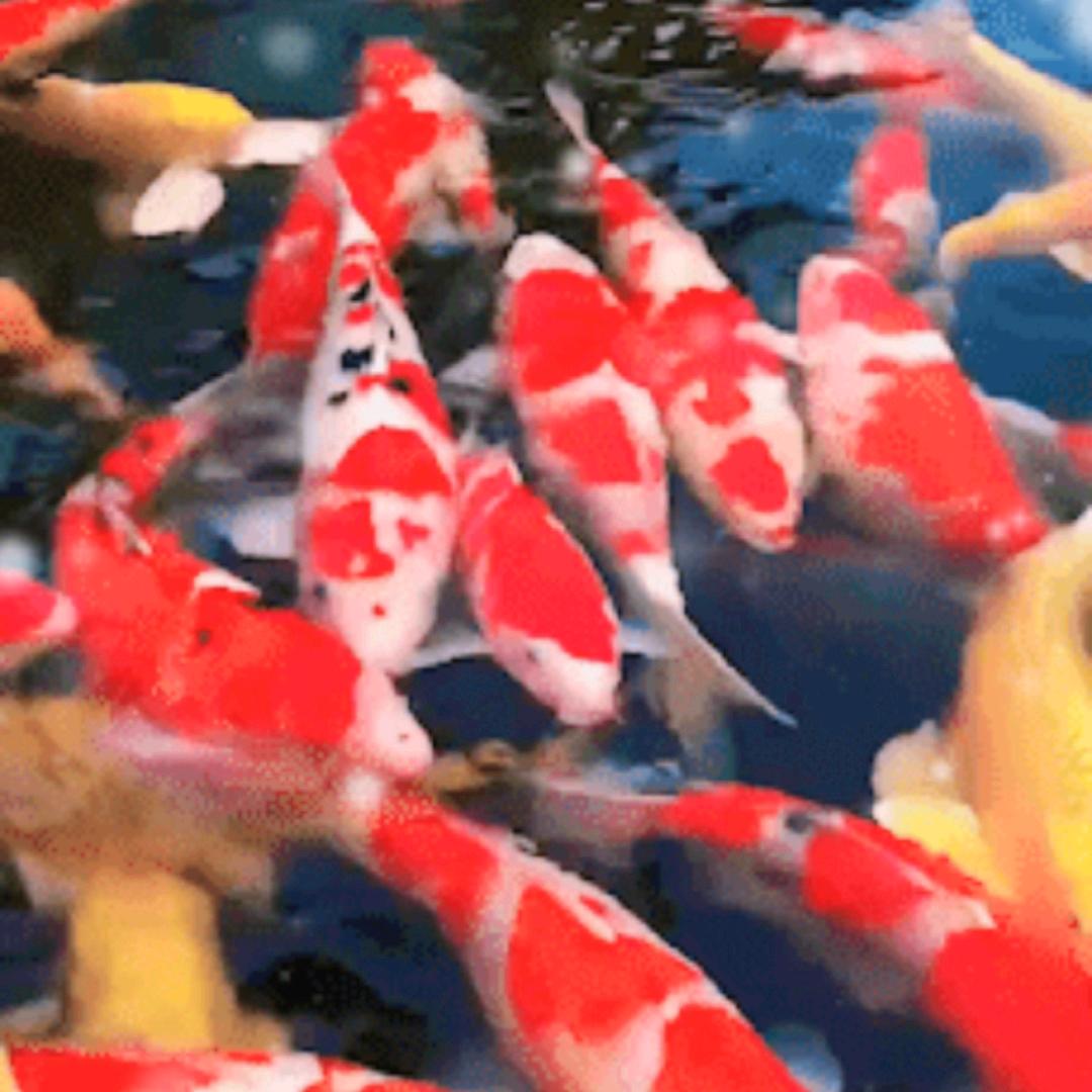 和气生财