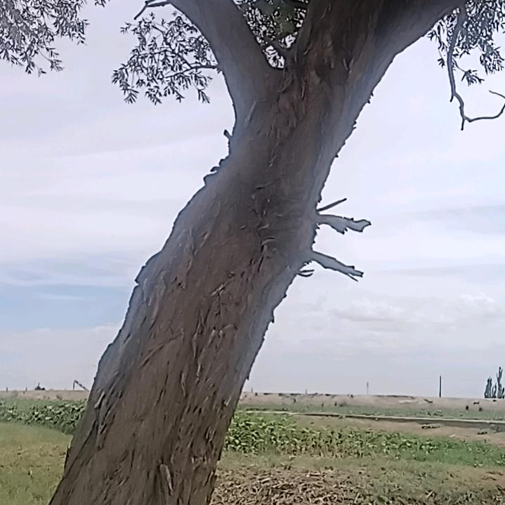 福生，