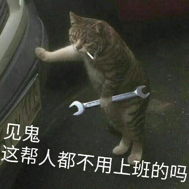 夜枭(鸣潮代肝)