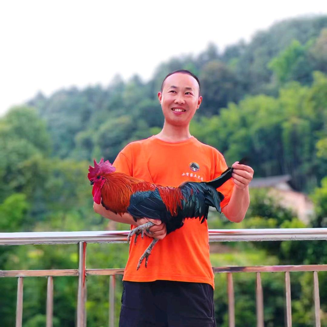 东胜养五黑鸡的小贺