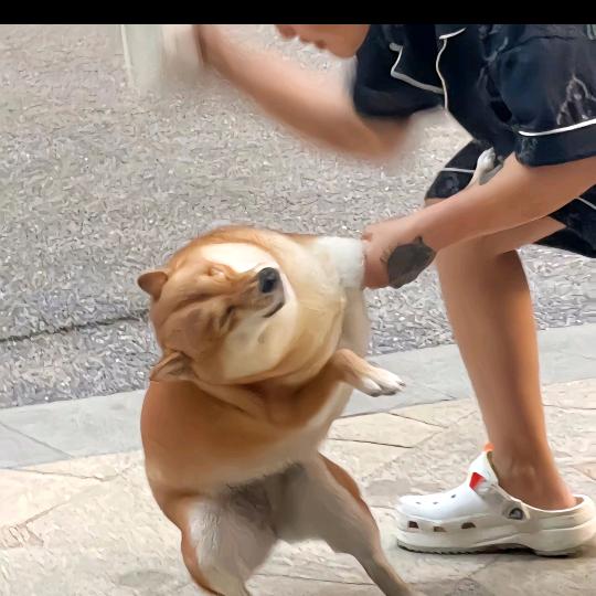 碍人