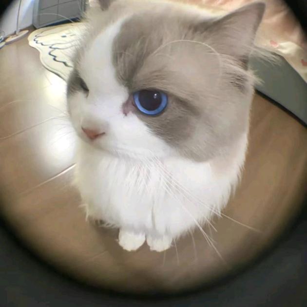 一诗