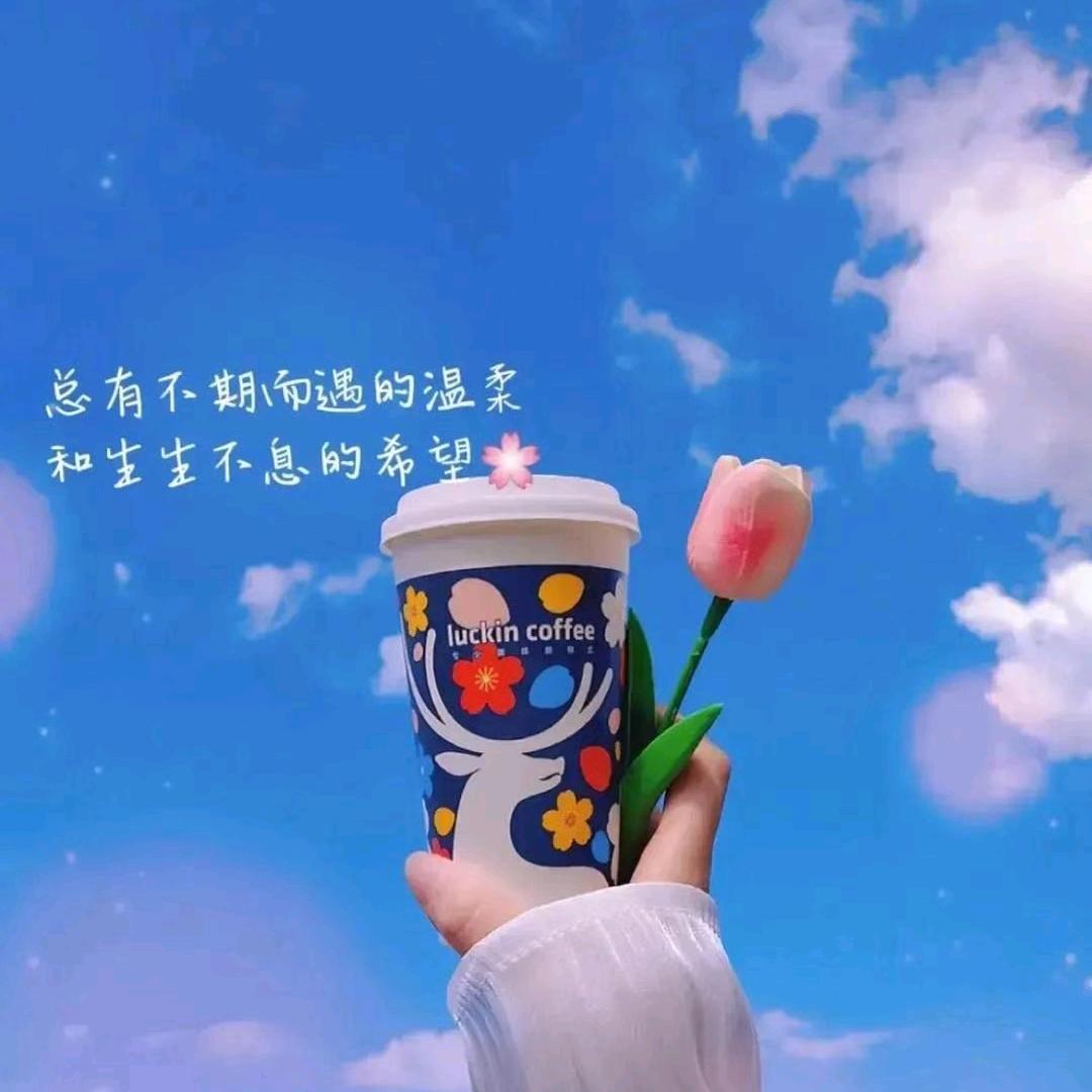 暖心小森