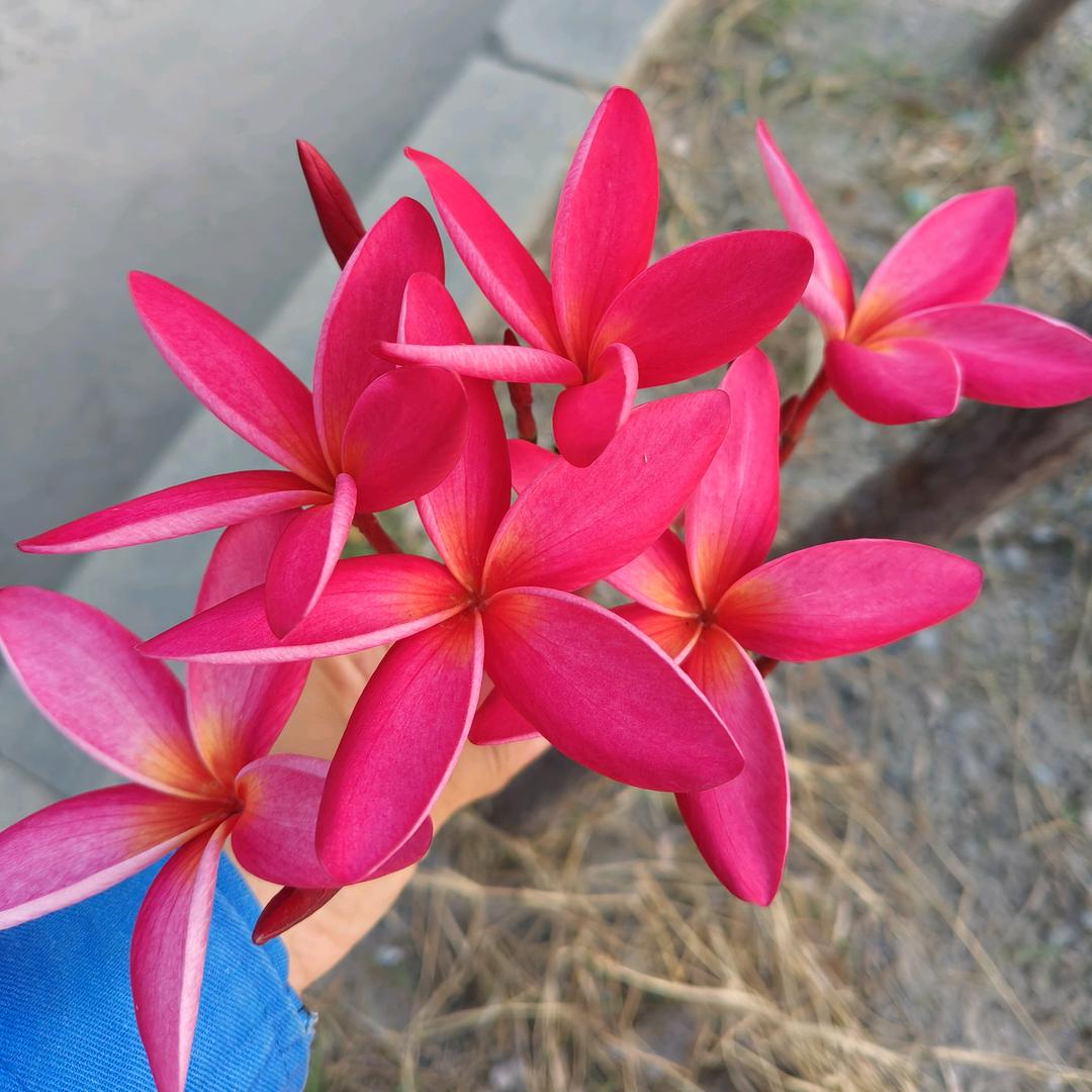 这么近，那么美，周末来河北