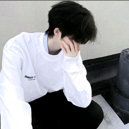南韶王子