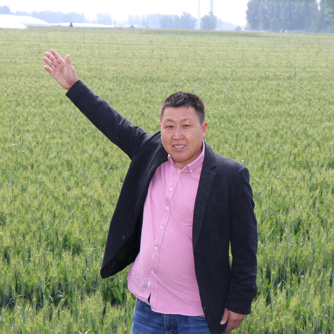 平安拆除家装工装