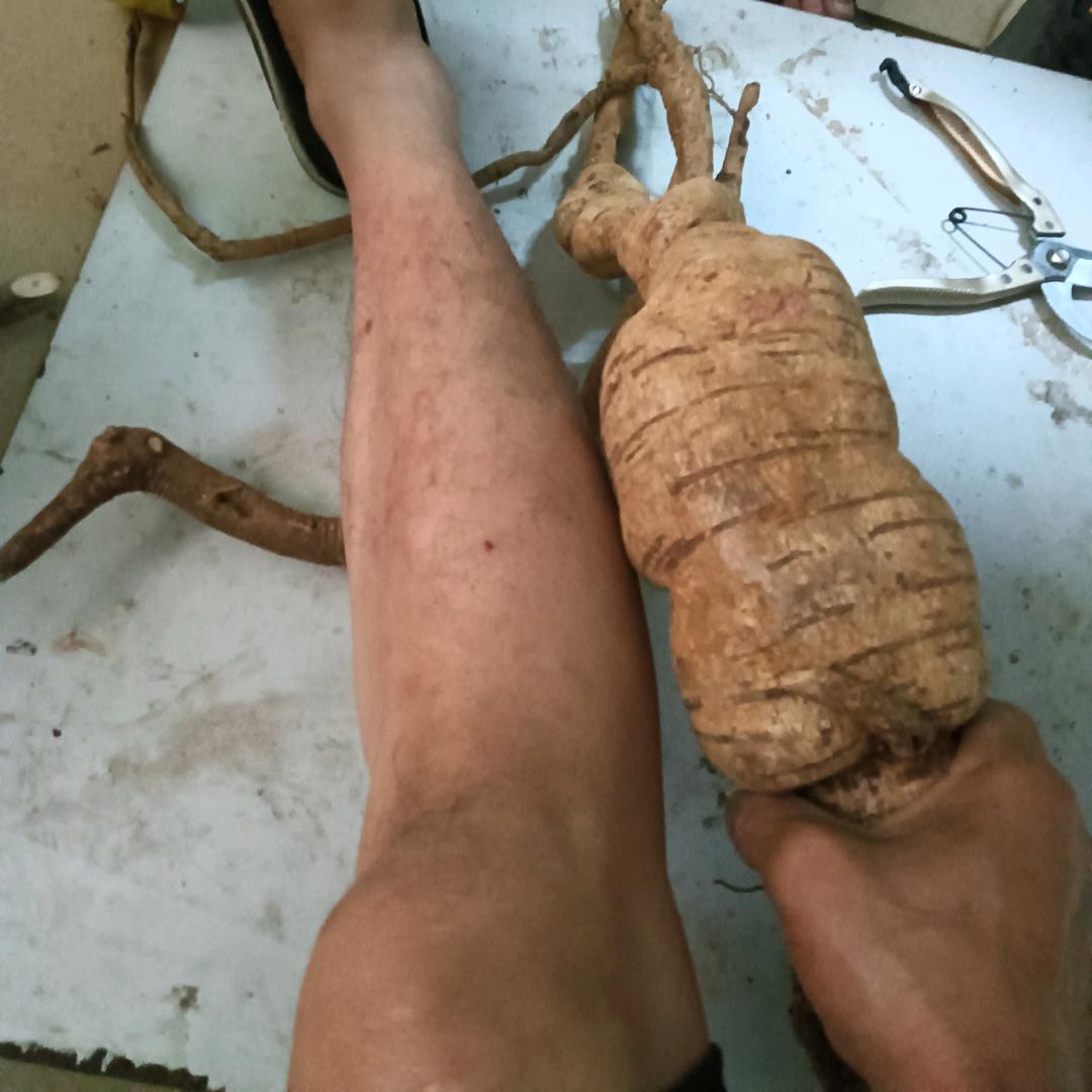 百草园绿色食品