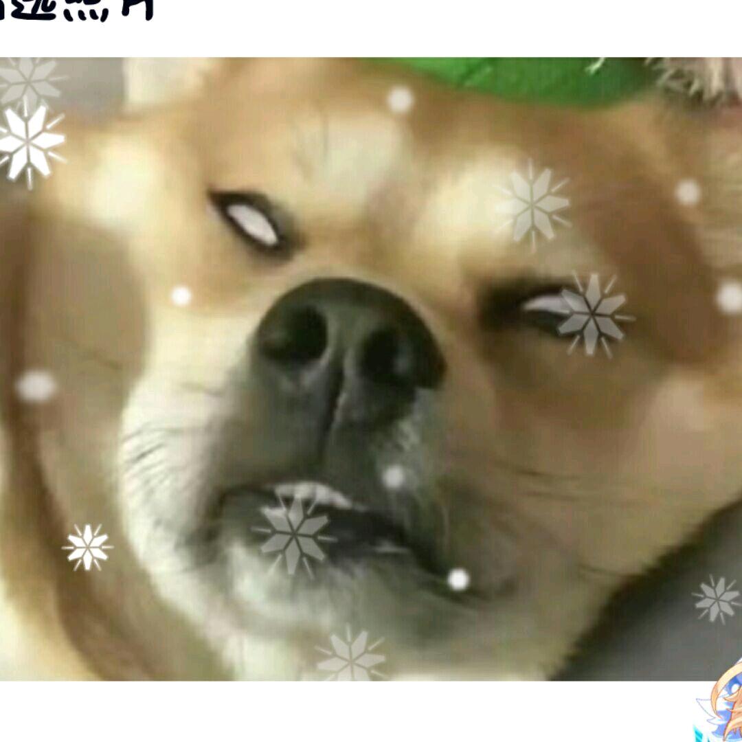 毛毛