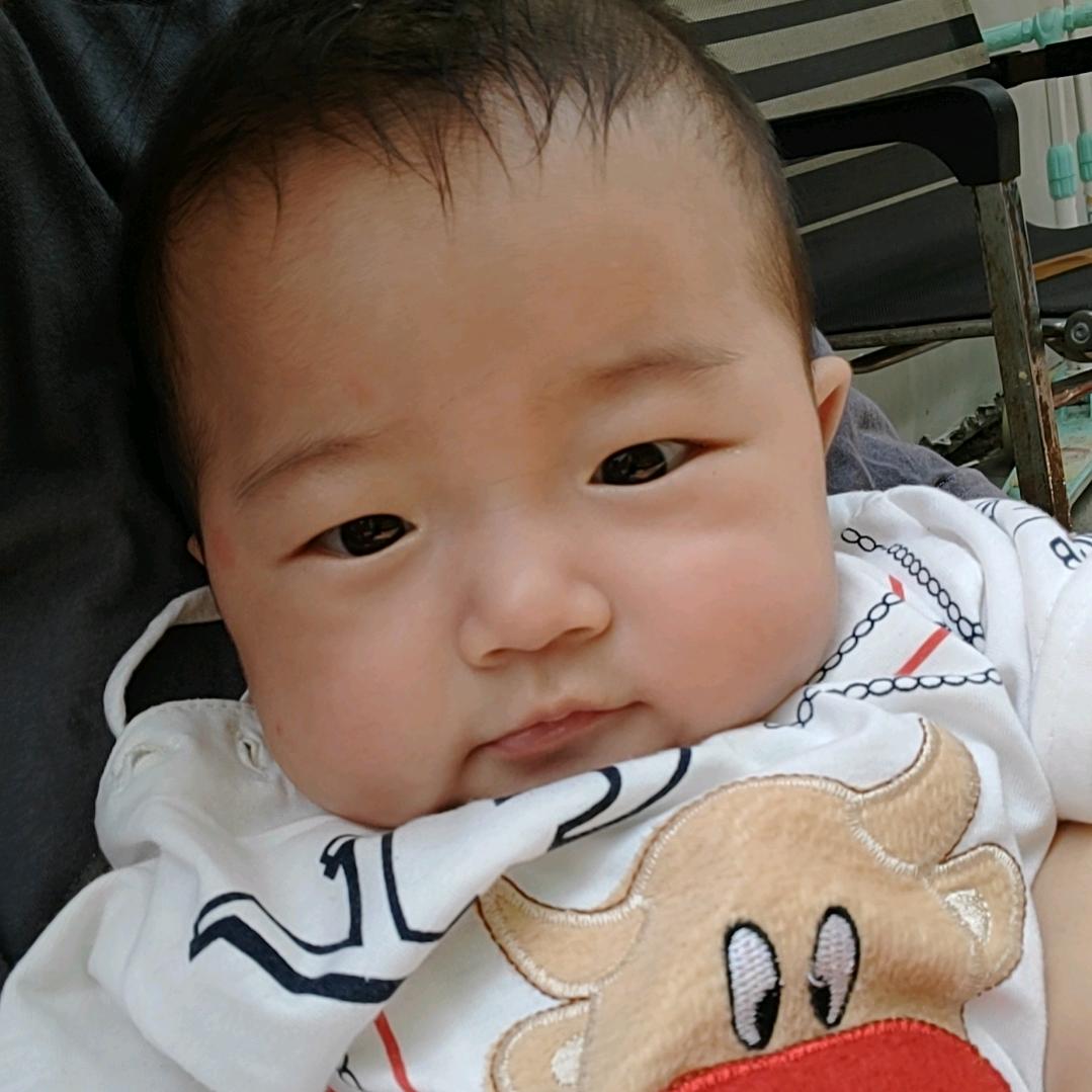 龙哥