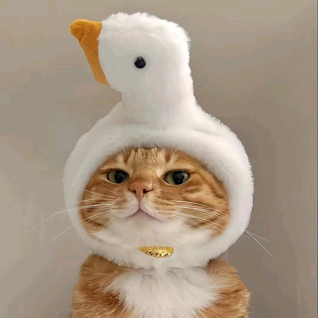 小恐龙～