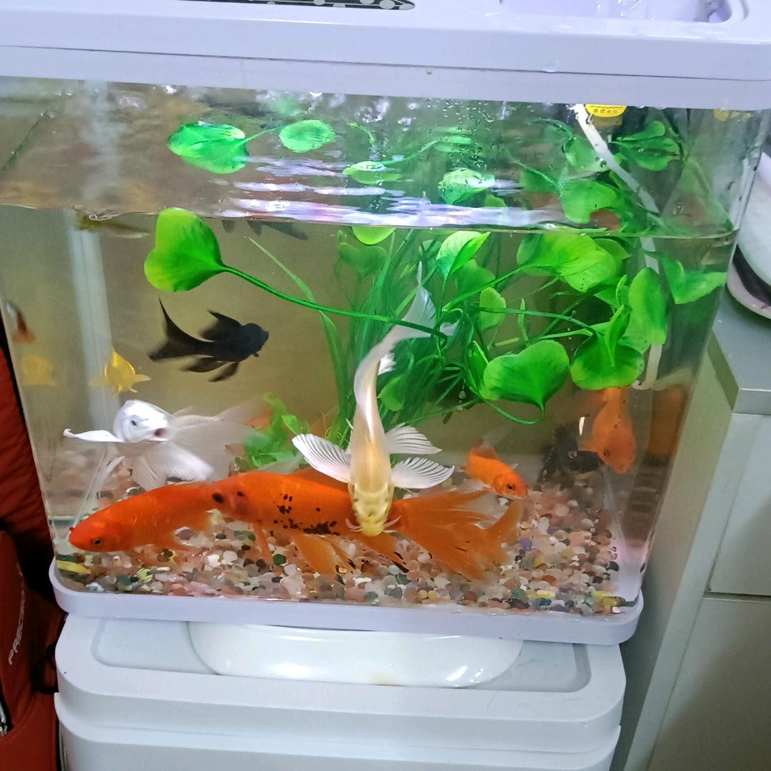 李城亮