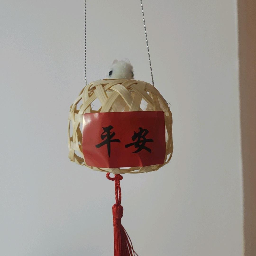 吸金石！