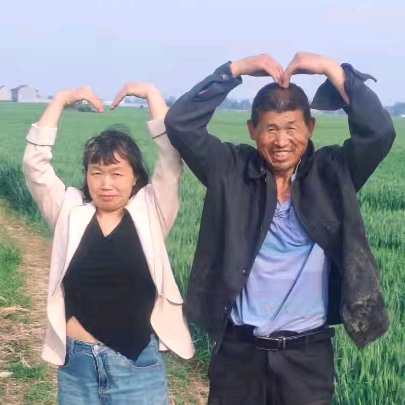 玫瑰花