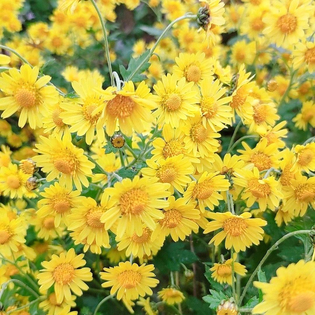 大点声！听不见！