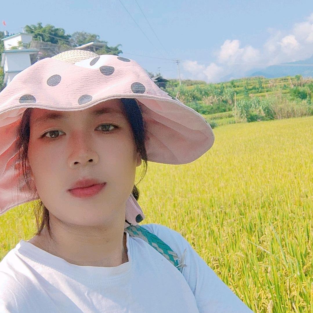 只关注，不打扰。