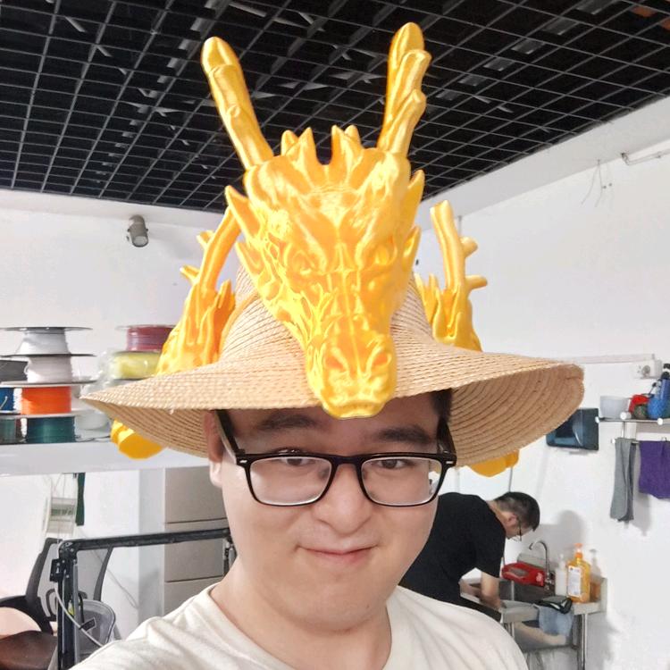 3D打印龙头草帽-阿飞