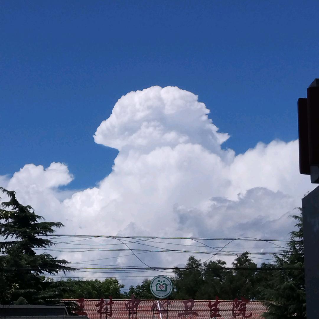 心如止水