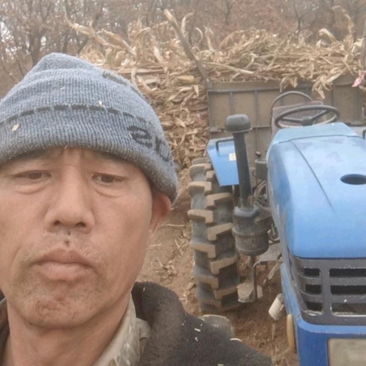 施恒义