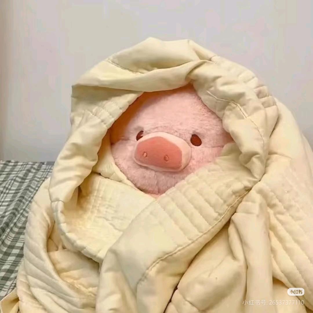 杨杨杨HUI🐷