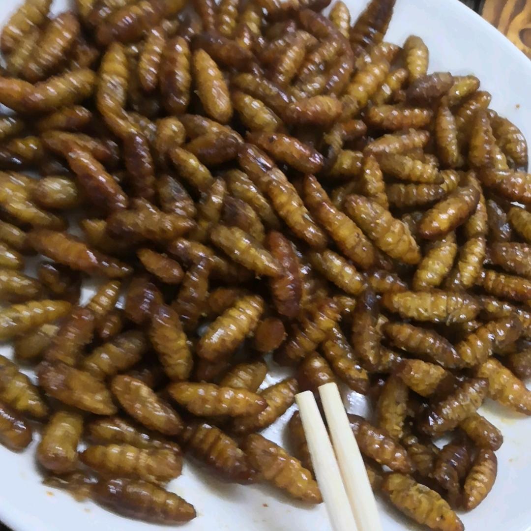 孤独的肥🐫品酒人生🍺