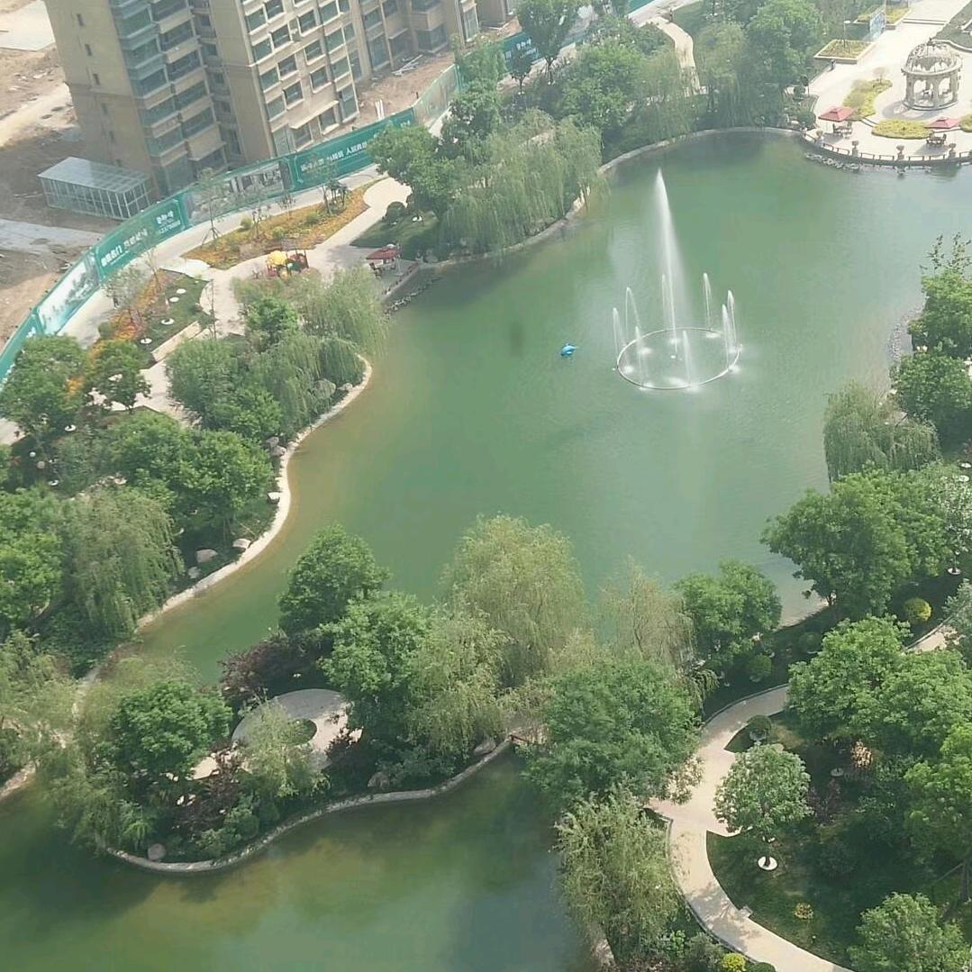 随心所欲