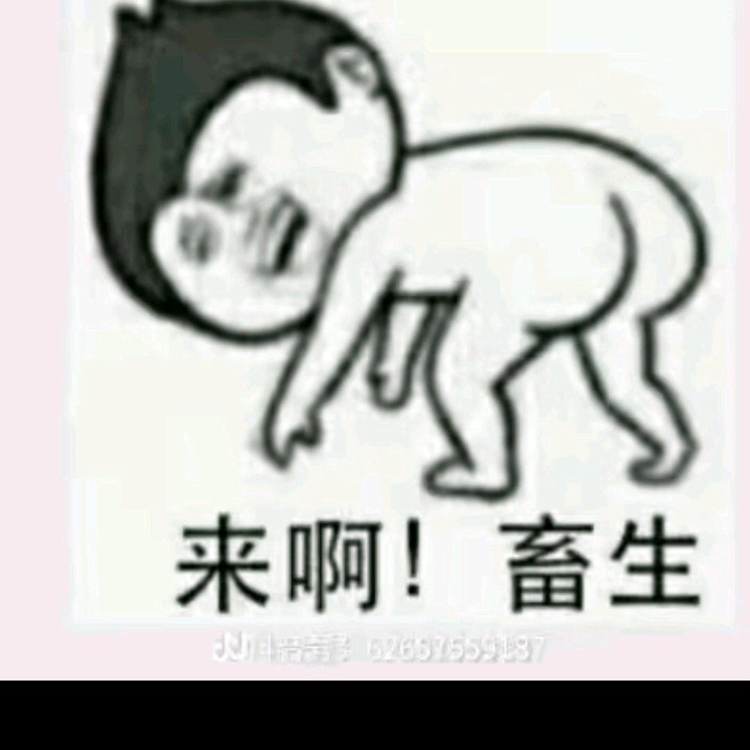 大将军李家成