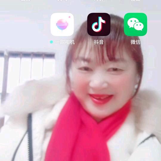完美的人士