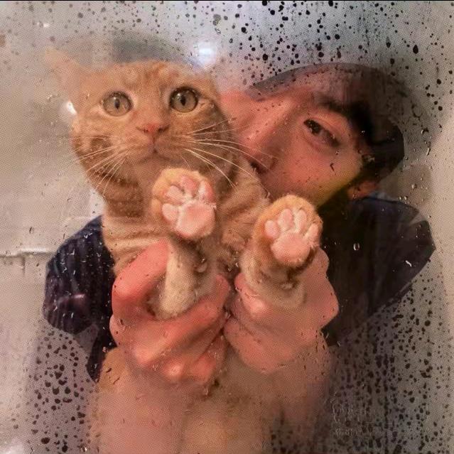 ，，，，头像