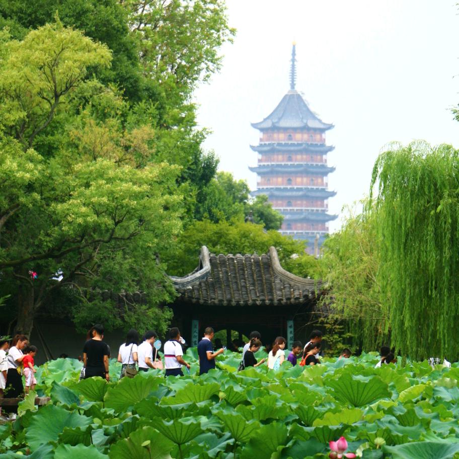 学习慢跑搞钱
