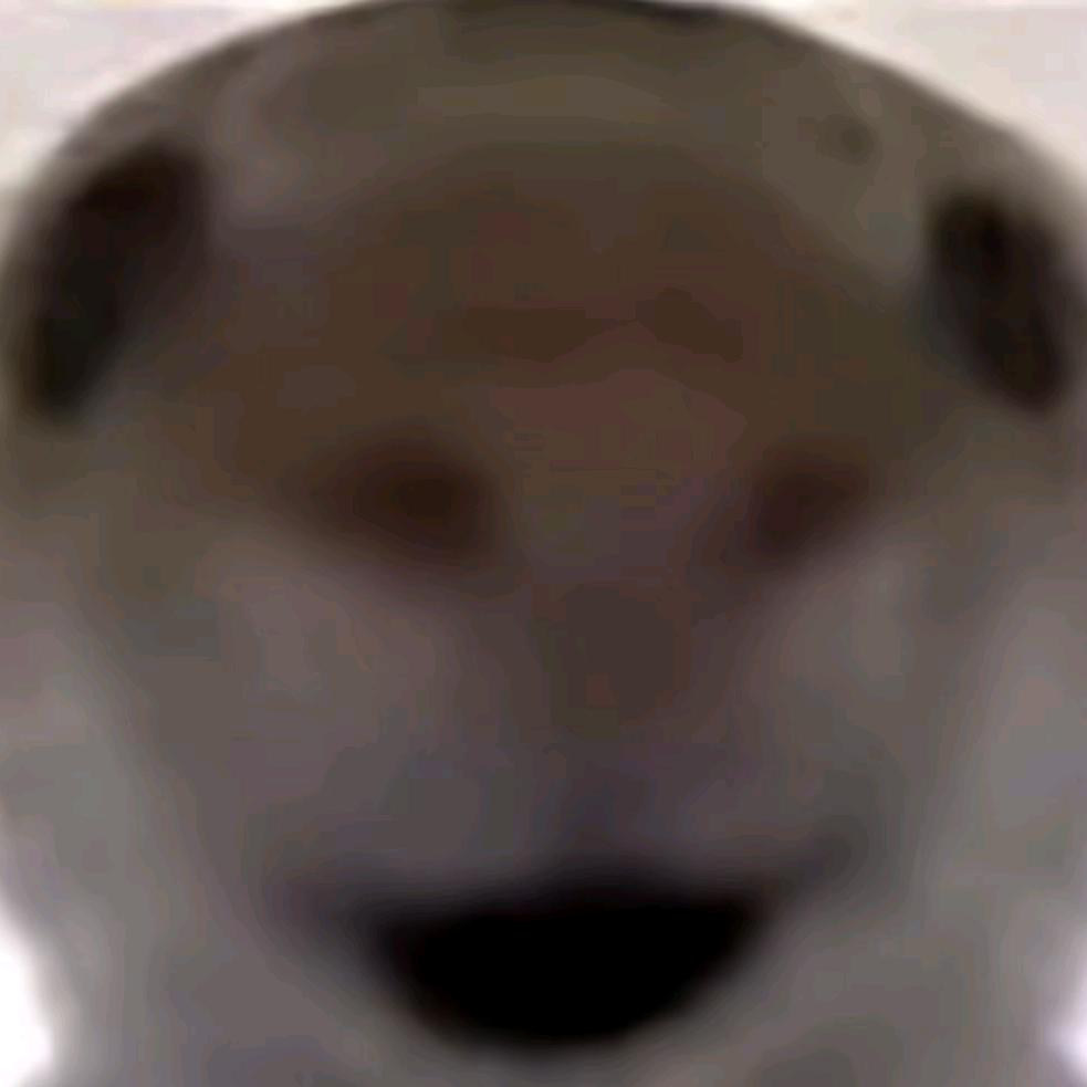 不在