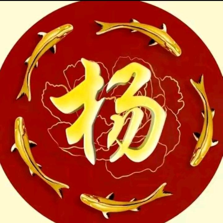 杨大哥