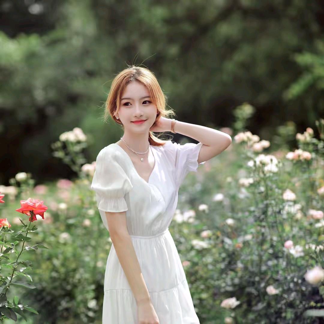 辉辉鸽 首播(早6:30)