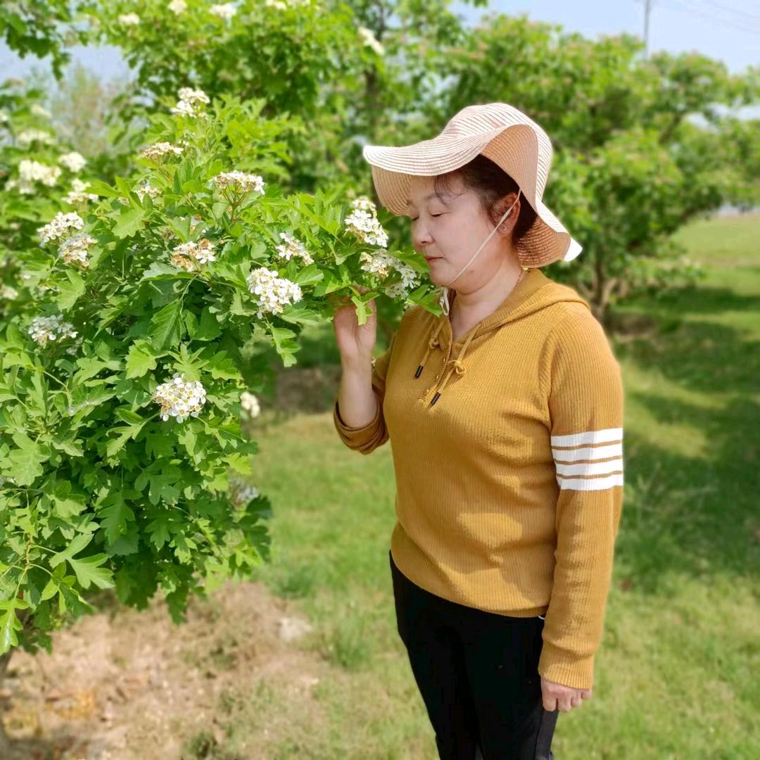 美丽心情