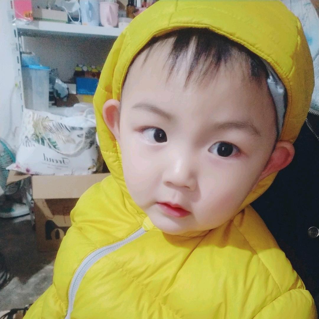 亳知魏铜关精品绿豆粉皮1