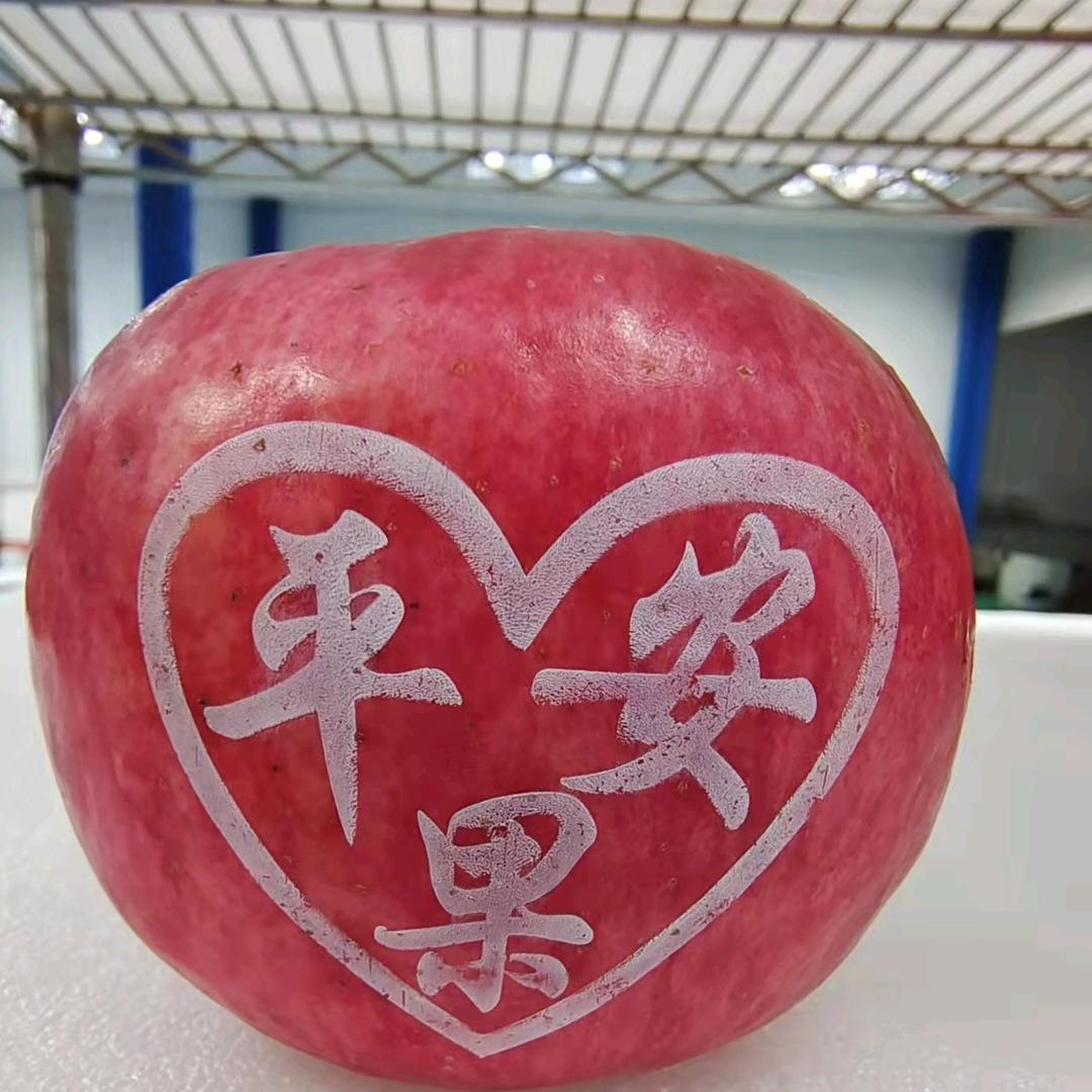 用户4756157414926