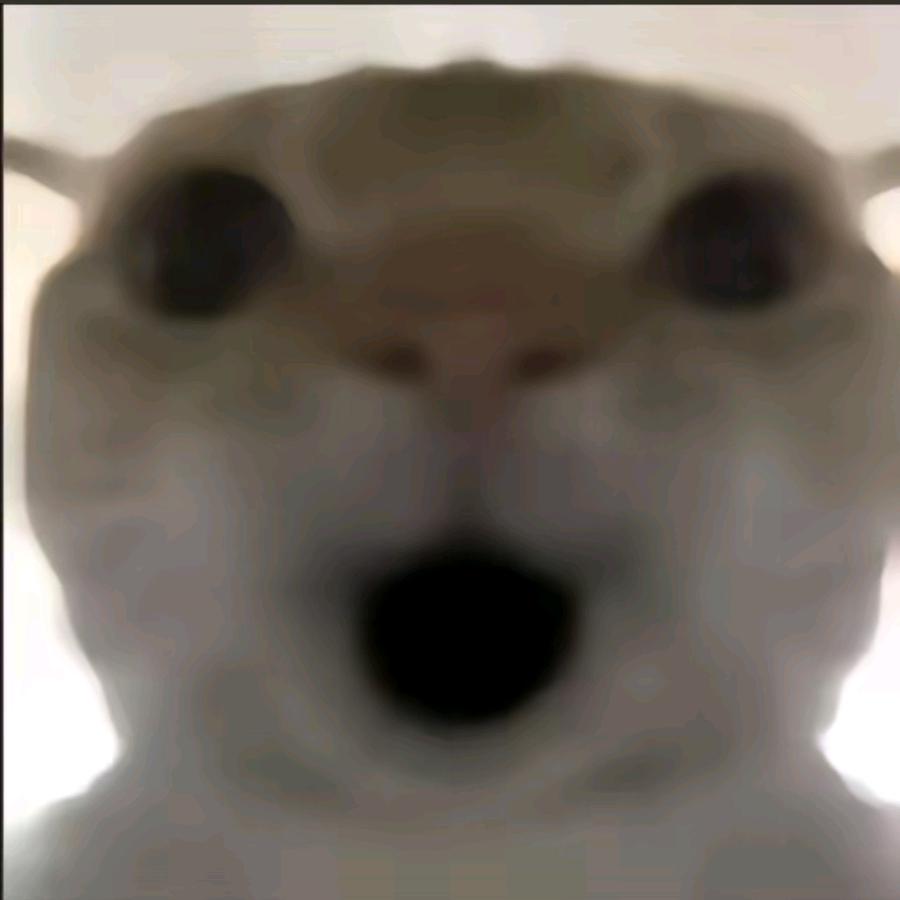 你们没实力好吧