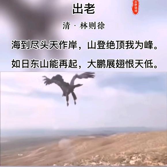 八仓商贸