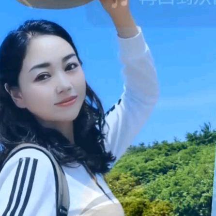苏琴蝶影