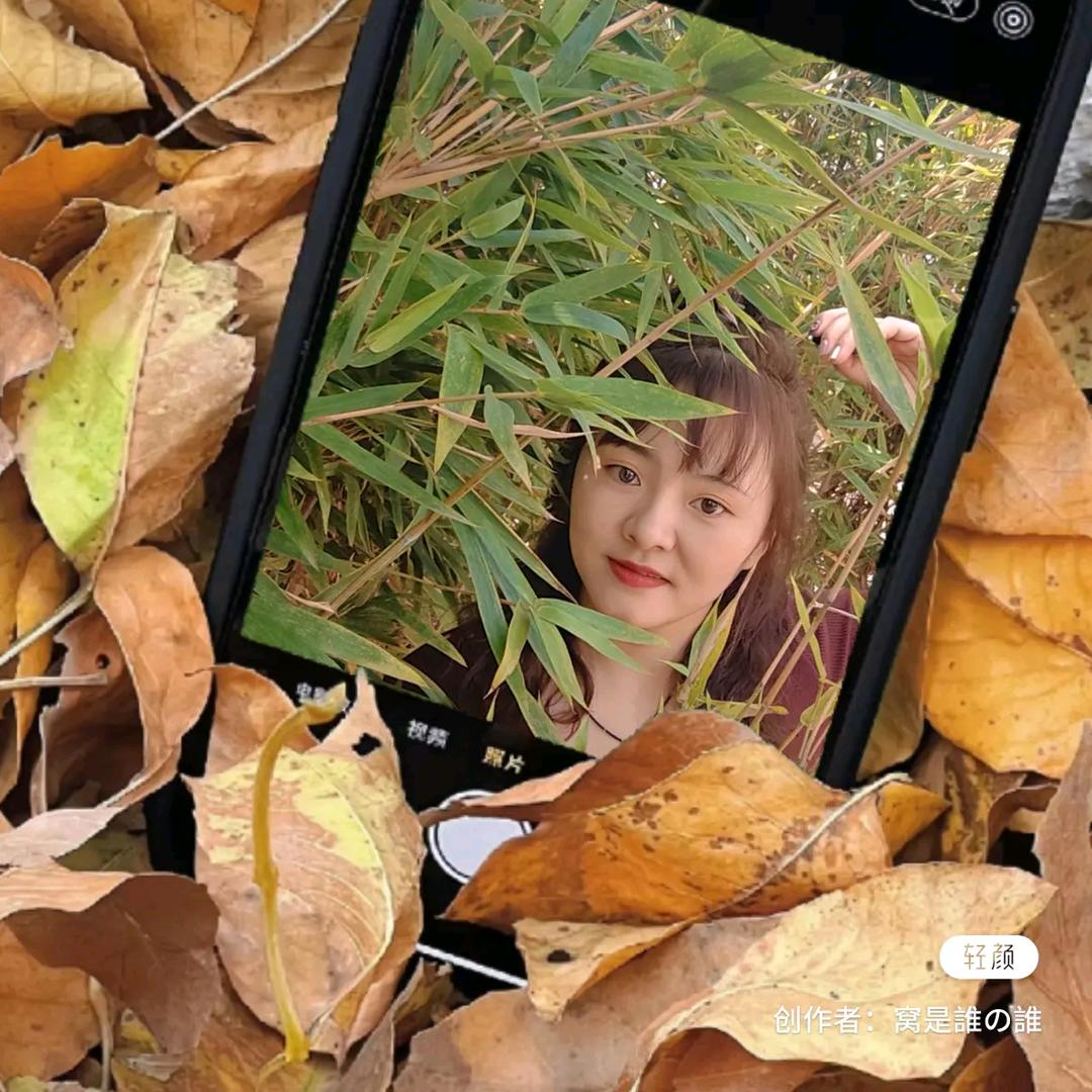 💃偶尔也发呆🕊