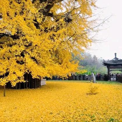 美丽陕西
