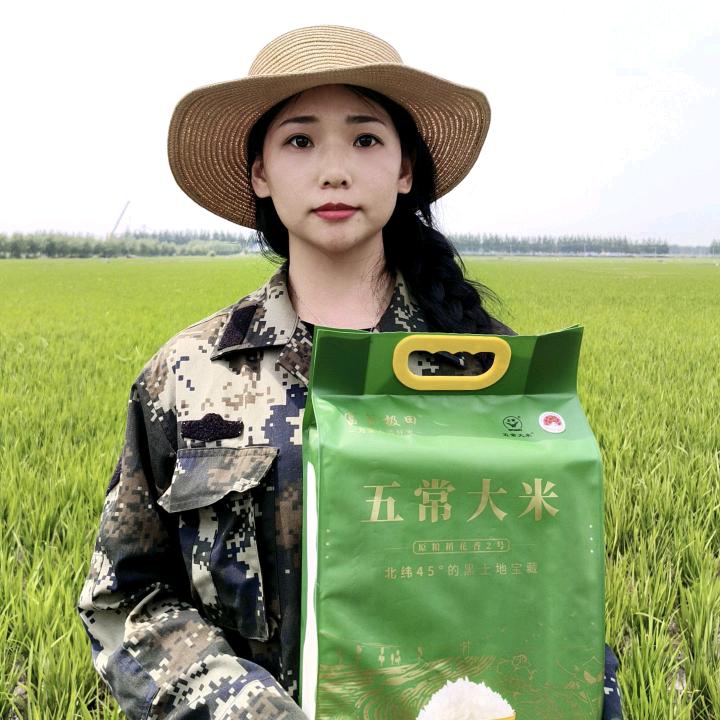 盈盈家的稻花香