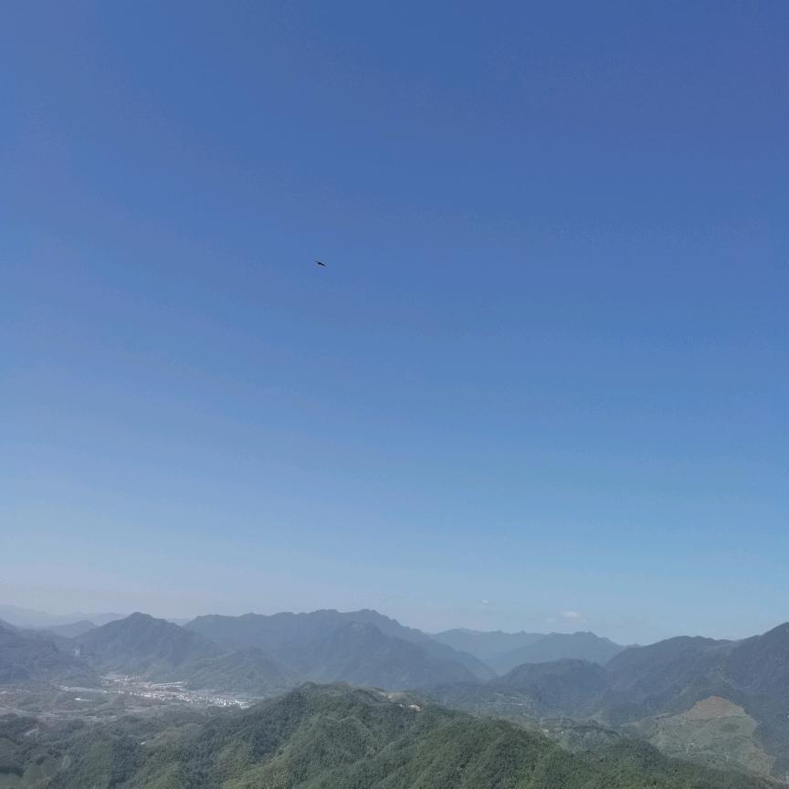 橘子.