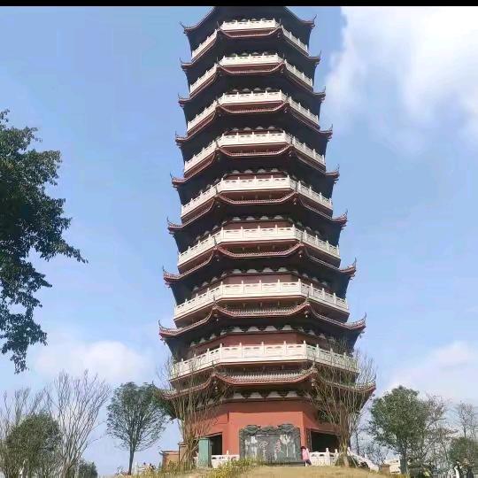 为你停留(飞虎队)