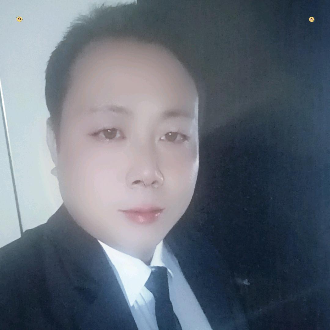 廖江龙常年收养大小狗